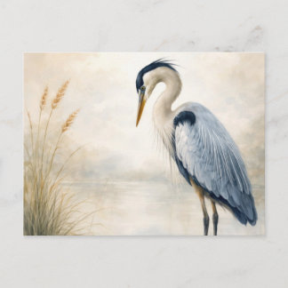 Ruhiger Sumpf Reiher | Blau Reiher | Postkarte