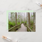 Ruhiger Tag in der Swamp Flat Grußkarte Karte (Vorderseite/Rückseite Beispiel)