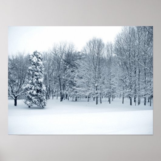 ruhiger Wald Poster (Vorne)