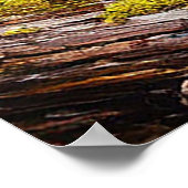 Ruhiger Waldmarsch mit üppiger Vegetation Poster (Ecke)