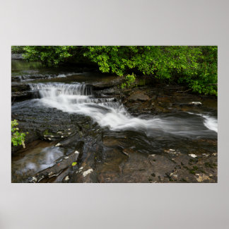 Ruhiger Waldwasserfall Poster