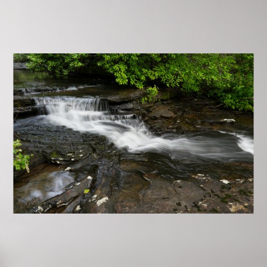 Ruhiger Waldwasserfall Poster (Vorne)