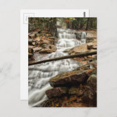 Ruhiger Waldwasserfall Postkarte (Vorne/Hinten)