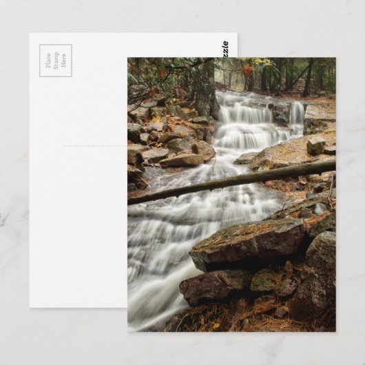 Ruhiger Waldwasserfall Postkarte (Vorne/Hinten)