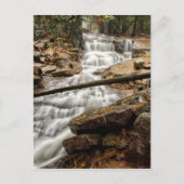 Ruhiger Waldwasserfall Postkarte (Vorderseite)
