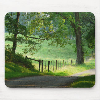"Ruhiger Weg-" - Land-Weg-Landschaft Mousepad