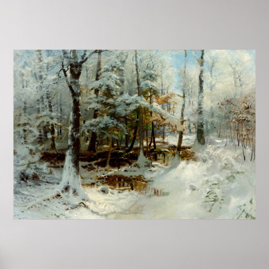 Ruhiger Winternachmittag Poster (Vorne)