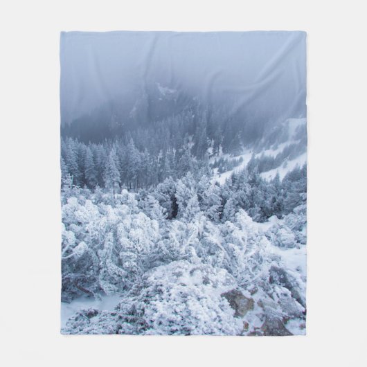 Ruhiger Wintertag auf der Bergspitze Fleecedecke (Vorderseite)