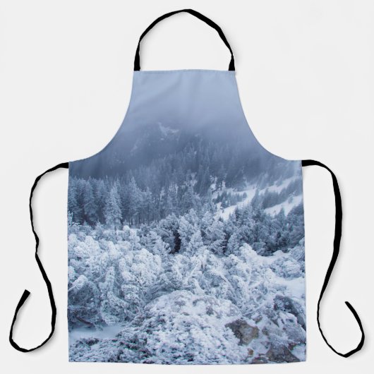 Ruhiger Wintertag auf der Bergspitze Schürze (Vorderseite)