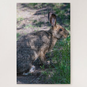 Ruhiges Kaninchen: Zurückhalten in der Natur Puzzle