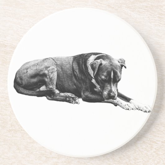 Ruhiges Paws-Untersetzer-Set Getränkeuntersetzer (Vorne)