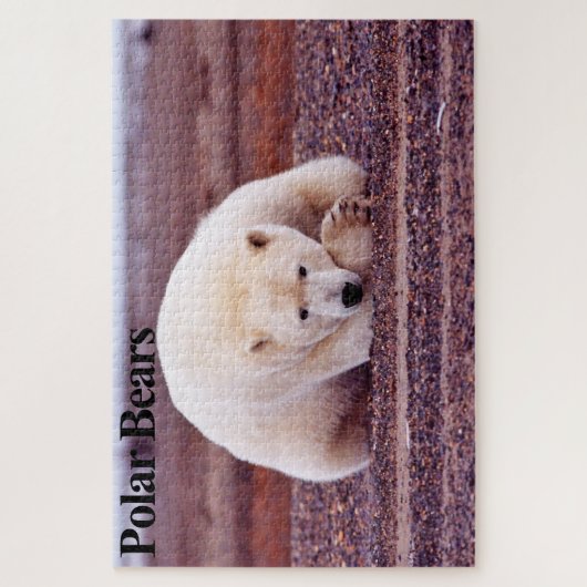 Ruhiges Polar-Bär-Puzzle Puzzle (Vertikal)