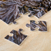 Ruhiges Siegel an der Küste Puzzle (Seite)