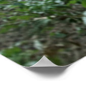 Ruhiges Tree Poster & Print (Ecke)