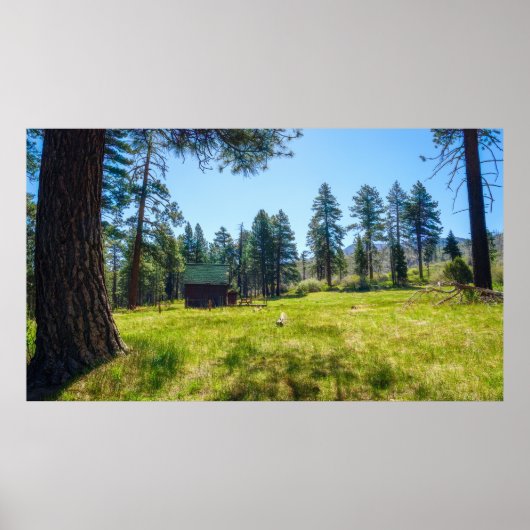 Ruhiges Waldrefugium-Waldposter mit Hütte Poster (Vorne)