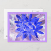 Ruhm der schneebedeckenden blauen Postkarte (Vorne/Hinten)