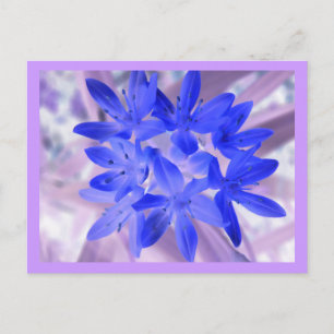 Ruhm der schneebedeckenden blauen Postkarte