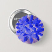 Ruhm der schneebedeckenden blauen Taste Button (Vorne & Hinten)