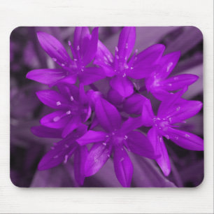 Ruhm der schneebedeckten Lila Mousepad