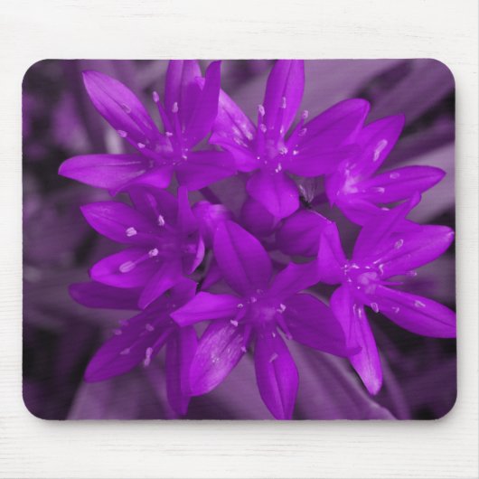 Ruhm der schneebedeckten Lila Mousepad (Vorne)