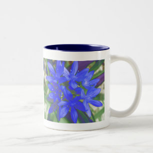 Ruhm der schneefluoreszierenden blauen Tasse
