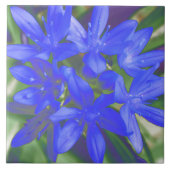 Ruhm der schneefluoreszierenden blauen Tile Fliese (Vorderseite)