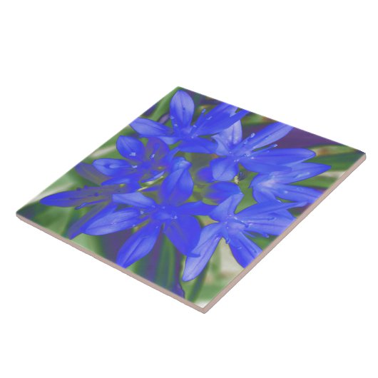 Ruhm der schneefluoreszierenden blauen Tile Fliese (Seite)