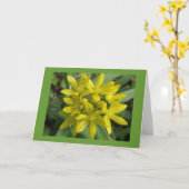 Ruhm der Schneekarte Karte (Gelbe Blume)