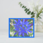 Ruhm der strahlend blauen Postkarte (Stehend Vorderseite)