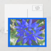 Ruhm der strahlend blauen Postkarte (Vorne/Hinten)