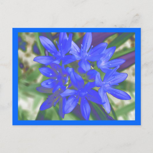 Ruhm der strahlend blauen Postkarte (Vorderseite)