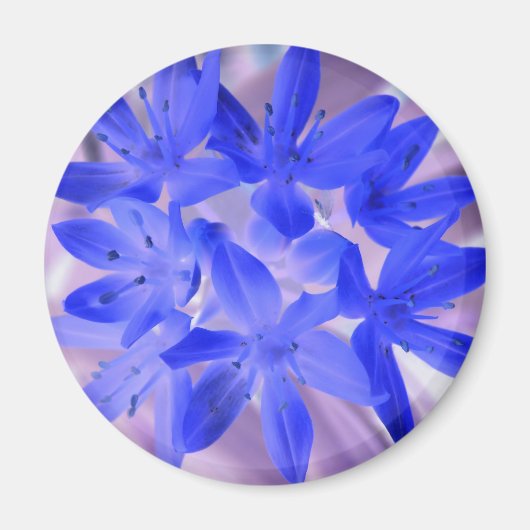 Ruhm des schneebedeckenden blauen Magneten Magnet (Vorne)