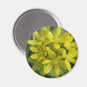 Ruhm des Schneemagnet Magnet (Vorderseite/Rückseite)