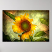 Ruhm (Sonnenblumenposter) Poster (Vorne)