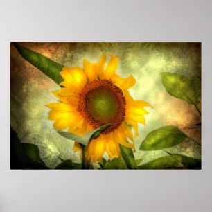 Ruhm (Sonnenblumenposter) Poster