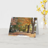 Ruhm-Straße Karte (Gelbe Blume)