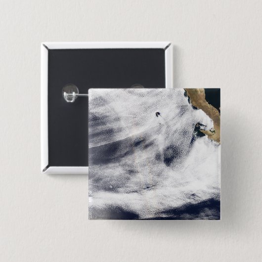 Ruhm über dem Pazifik Button (Vorne & Hinten)