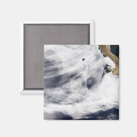 Ruhm über dem Pazifik Magnet (Vorderseite/Rückseite)