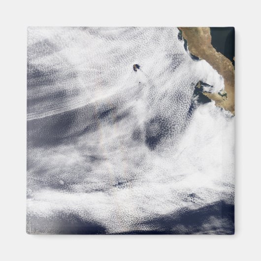 Ruhm über dem Pazifik Magnet (Vorne)