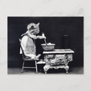 Rühren Sie die Kuschel Kitty Postkarte