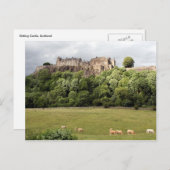 Rührschaf Postkarte (Vorne/Hinten)