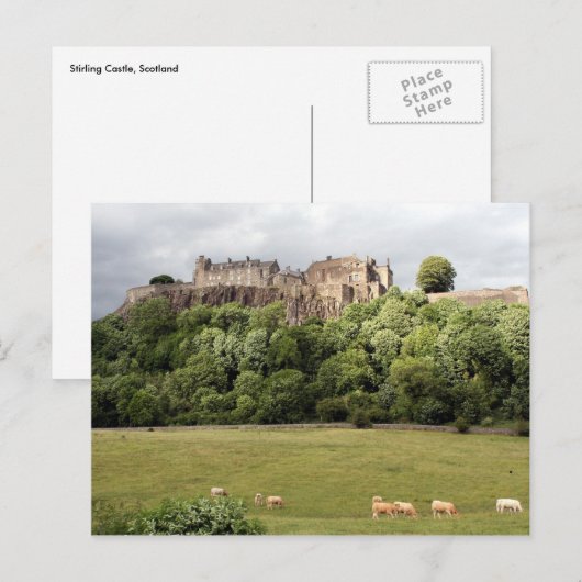 Rührschaf Postkarte (Vorne/Hinten)