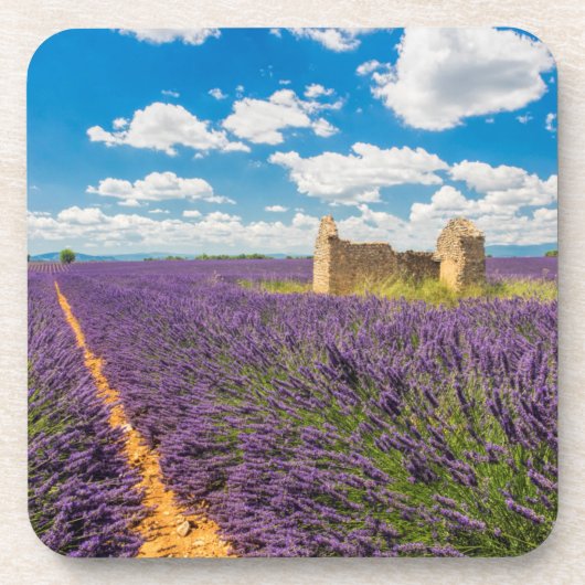Ruin in in Lavender Field, Frankreich Untersetzer (Vorderseite)