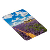 Ruin in Lavender Field, Frankreich Magnet (Rechte Seite)