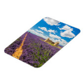Ruin in Lavender Field, Frankreich Magnet (Linke Seite)