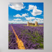 Ruin in Lavender Field, Frankreich Poster (Vorne)