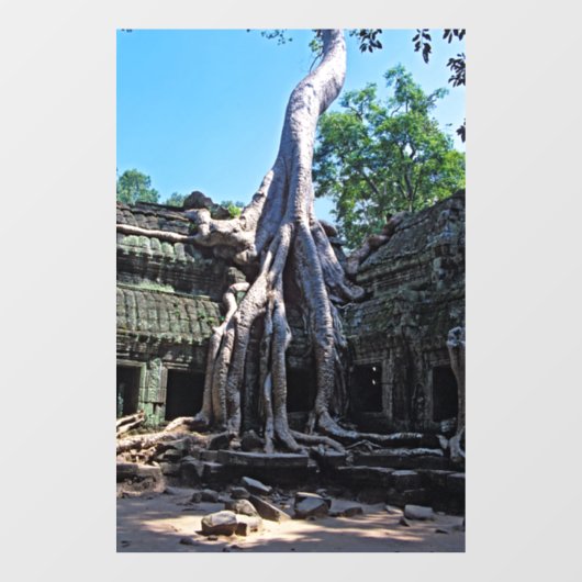 Ruin von Ta Prohm - Angkor Wat, Kambodscha, Asien Fensteraufkleber (Blatt)