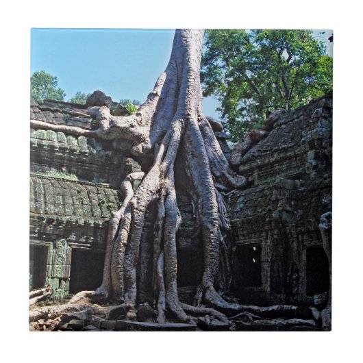 Ruin von Ta Prohm - Angkor Wat, Kambodscha, Asien Fliese (Vorderseite)