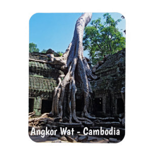 Ruin von Ta Prohm - Angkor Wat, Kambodscha, Asien Magnet