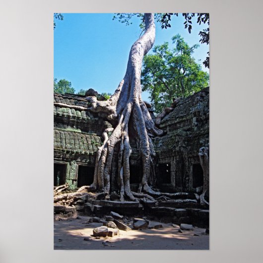 Ruin von Ta Prohm - Angkor Wat, Kambodscha, Asien Poster (Vorne)